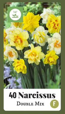 X   30 NARCISSUS DUBBEL MIX 10/12