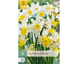 [JUB306930] X   5 NARCISSUS SAILBOAT 12/14