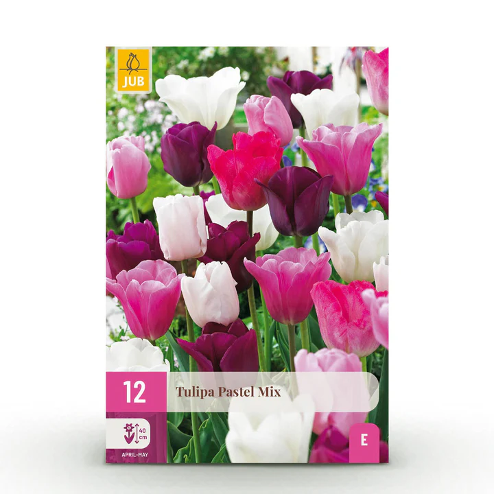 [JUB322560] X 12 TULIPA PASTEL MIX 11/12