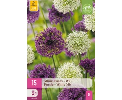 X 15 ALLIUM PAARS - WIT 10/12
