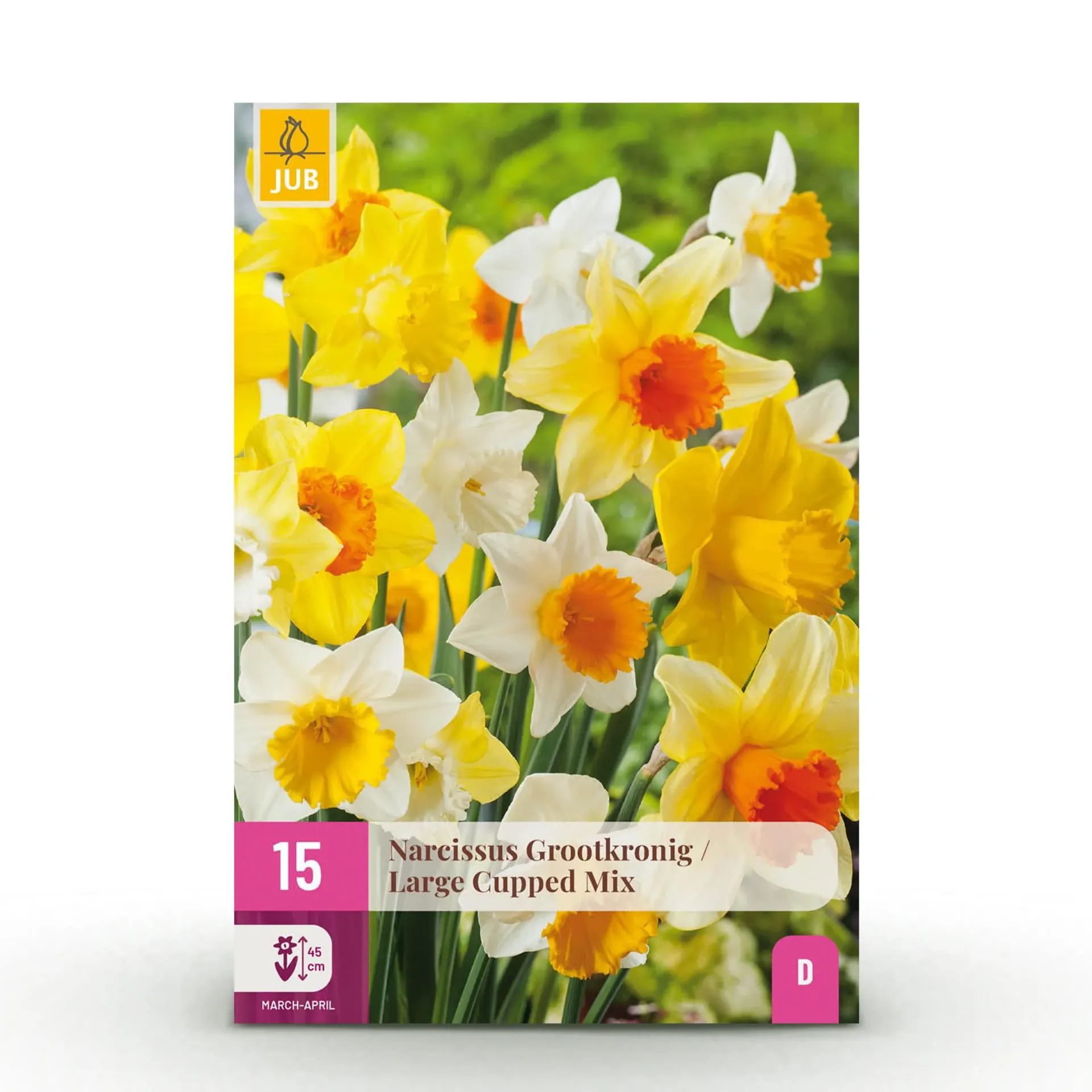 X 15 NARCISSUS GROOTKRONIG MIX 12/14