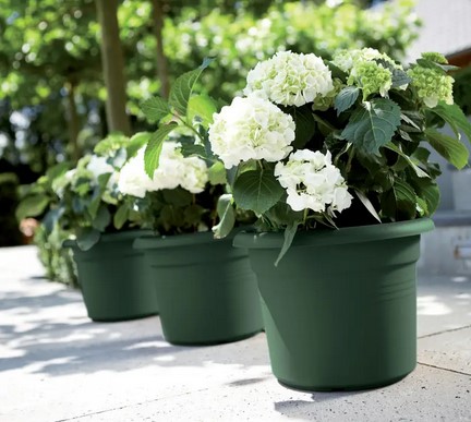 [47145] GREEN BASICS CILINDER GREEN (55 CM)