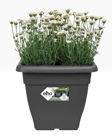 [5812112442500] TORINO CAMPANA SQUARE (25CM)