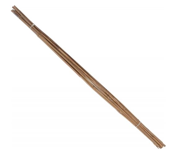 [55022141] BAMBOESTOK 120 CM - 8/10 MM - 10 ST