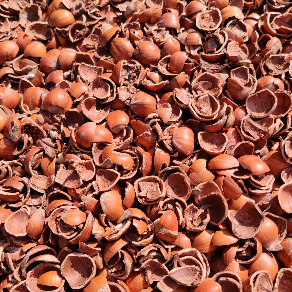 NOCCIOLO HAZELNOOTDOPPEN 20 L