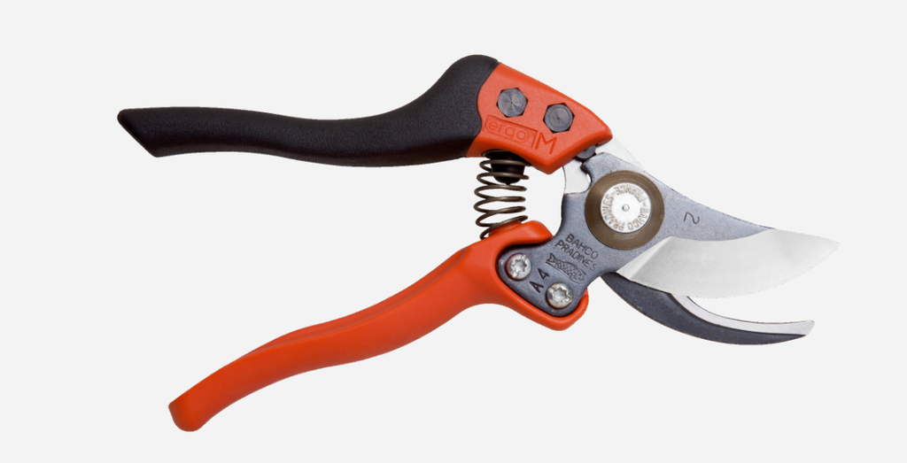 [PX-S2] SNOEISCHAAR ERGO S 20MM