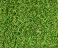 [KGREUHYB] PROXYGRASS EURO HYBRID
