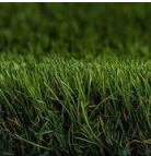 PROXYGRASS LOOK OCRA DELUXE / M²