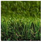 [PROXYSEND] PROXYGRASS LOOK SENSUAL DELUXE/ M²
