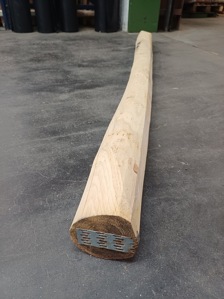 [PPCRBF200] KASTANJE POORTPAAL VR TYPE COURBEFY DIA10/12  X 180 CM GEPUNT