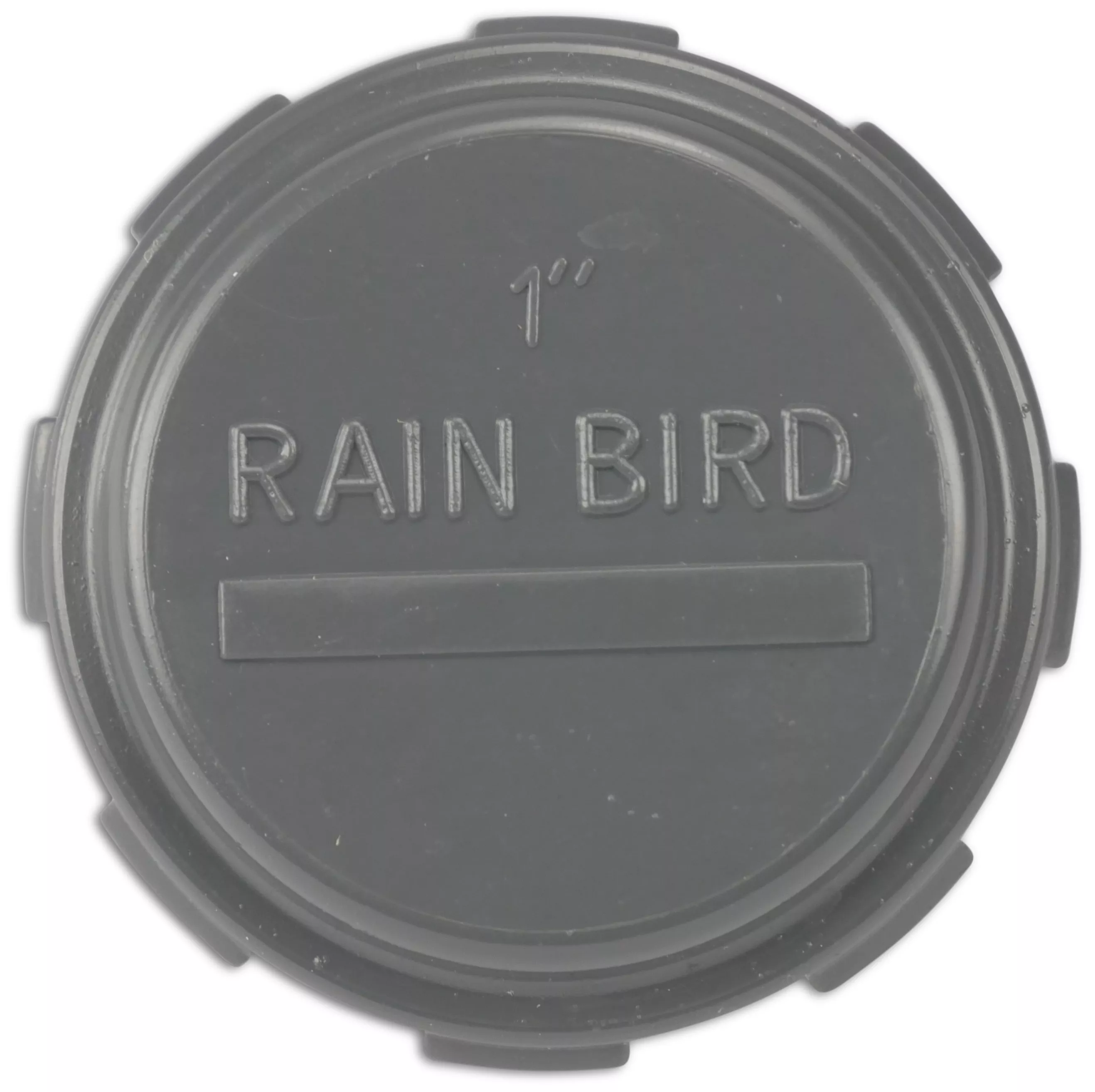 [OP7021721] RAIN BIRD EINDKAP PVC BINNENDRAAD 10BAR GRIJS