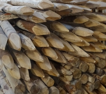 [KAP100-8-10] KASTANJEPAAL (100 CM)