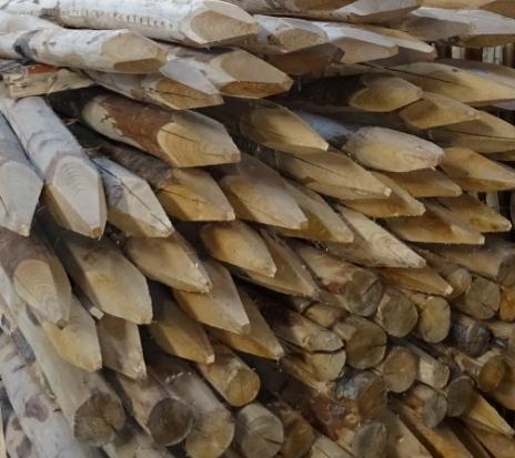 KASTANJEPAAL IN 4 GEZAAGD OMTREK 18 à 24 CM 180 CM