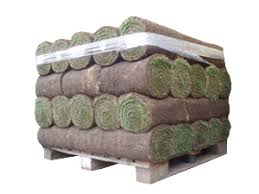 LEEGGOED PALLET GRASZODEN