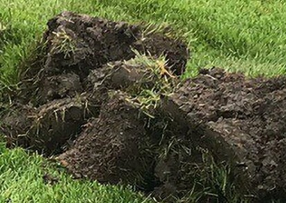 [GAZD] GROENAFVAL:  ZODEN / TON