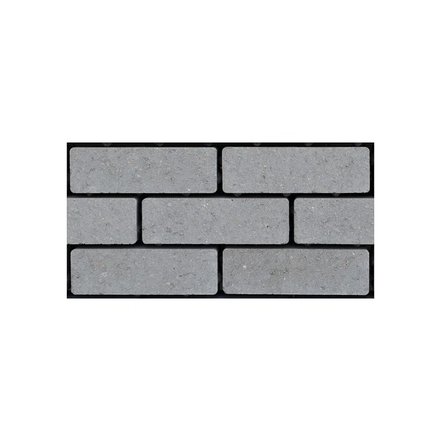 [171223] KLINKER ONGETROMMELD WAAL 20X6.5X8CM WATERPASSEREND (GRIJS)