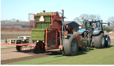 [GRZKLR] GRASZODEN (GRASMAT / GRASROL - M²)