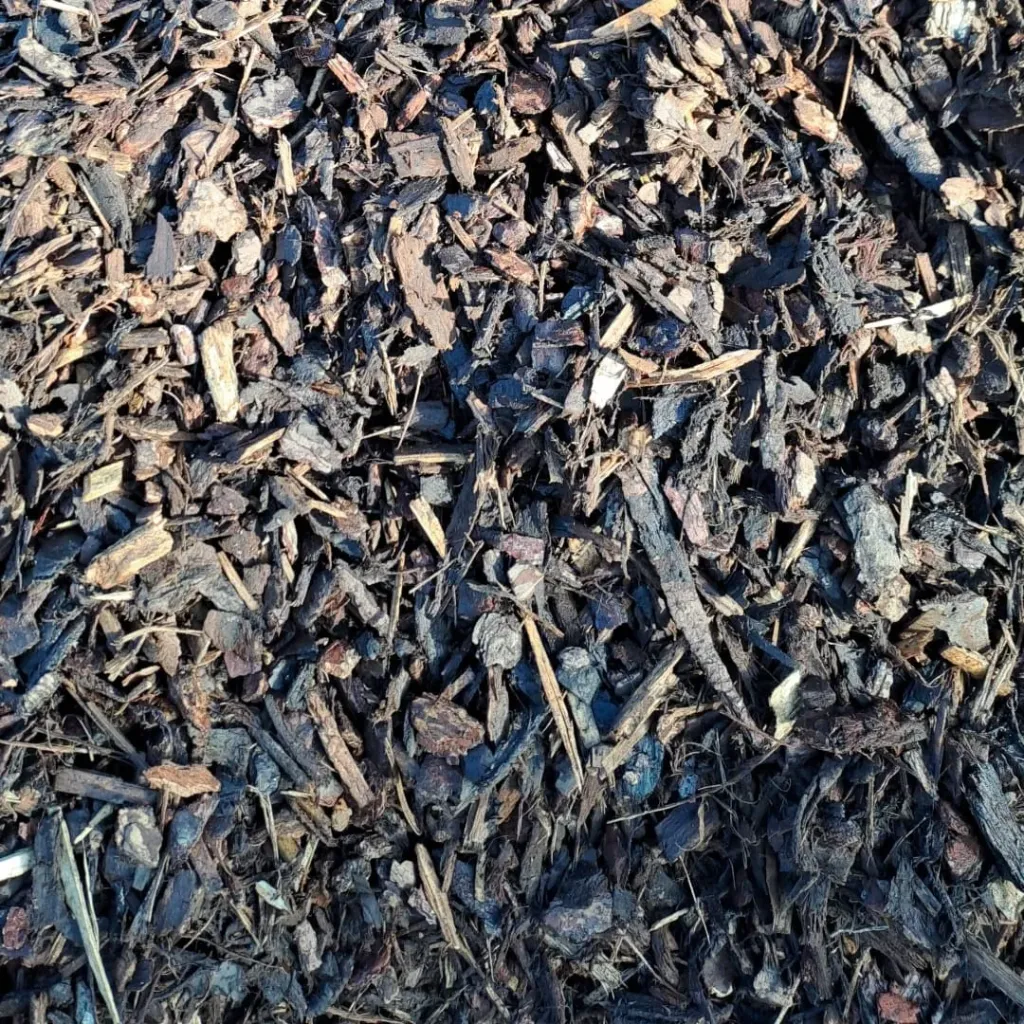 [SYLV20/40BLK1v2] SYLVESTER 20/40 BULK