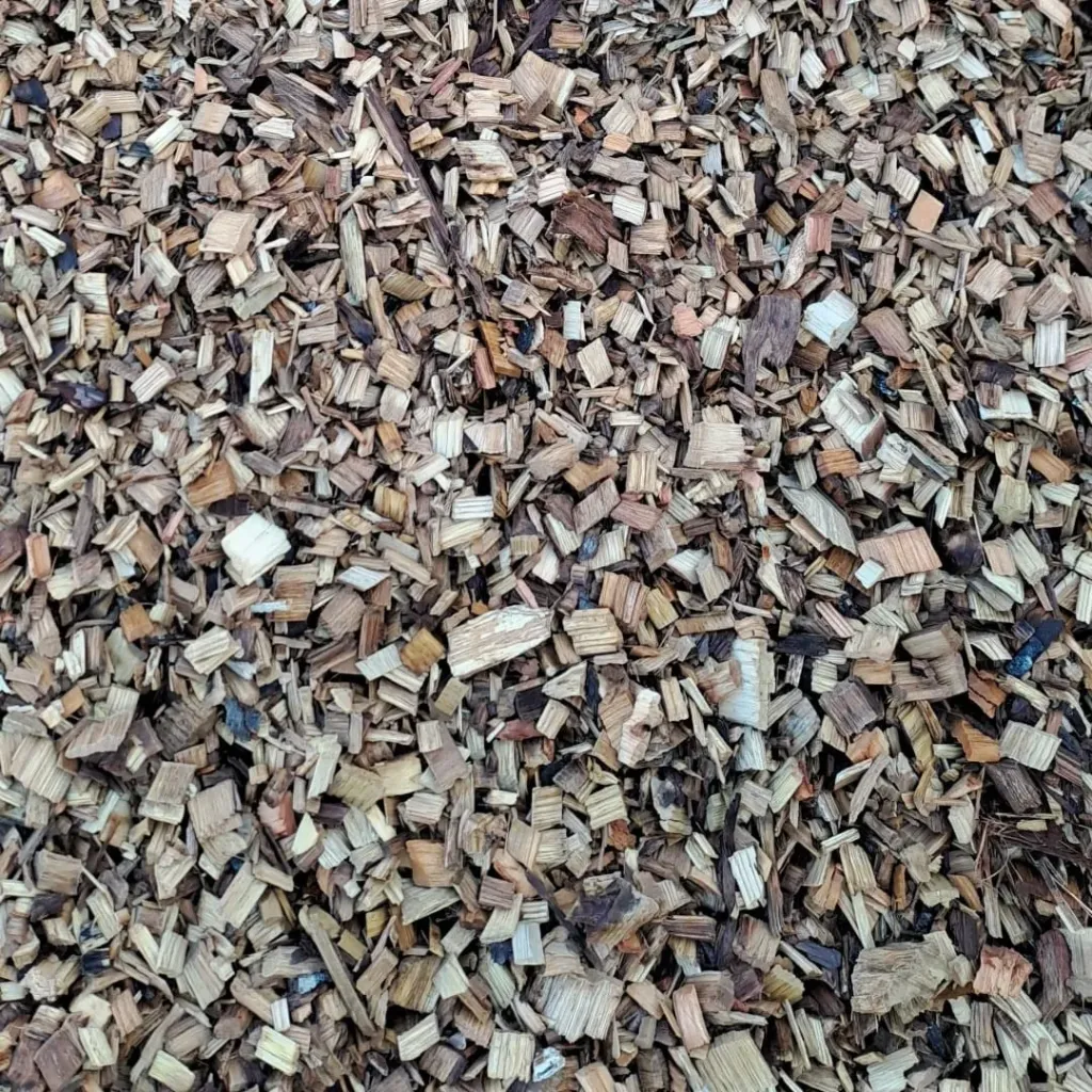 [CASTAM³v3] CASTANEA 5/40 BULK