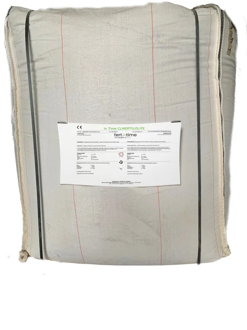 IN TIME CLINOPTILOLITE 20kg