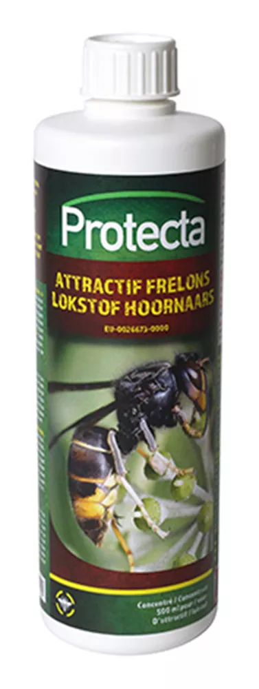 [AT-WAS-01055] LOKSTOF AZIATISCHE HOORNAAR