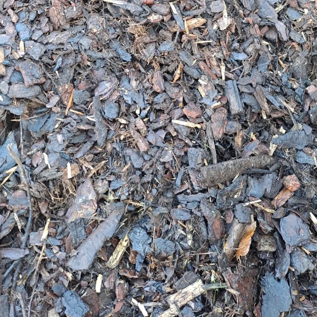 PICEA 20/40 SCHORS BULK