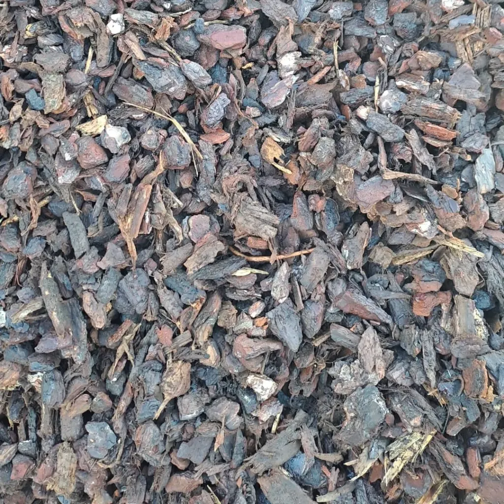 DECORATIEVE SCHORS 25/45 BULK