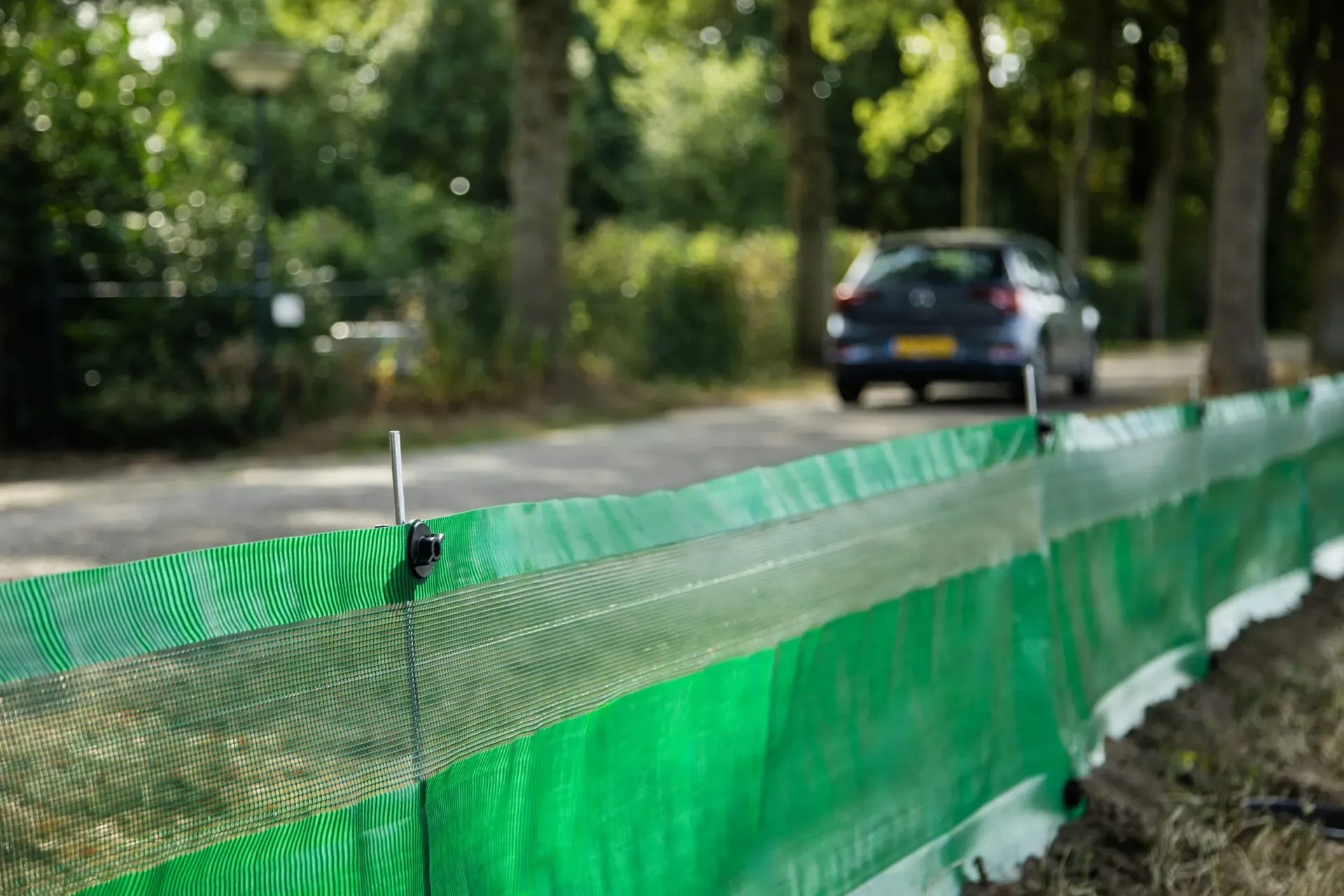 [1.912.51] AMFIBIE & REPTIELEN SCHERM SET GROEN