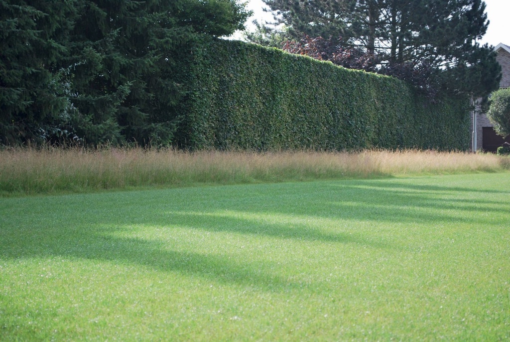 OFF SIDE GRASZAAD / KG