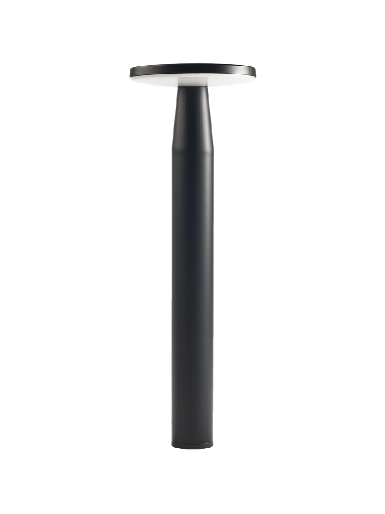 [IL99060000] IN-LITE DISC