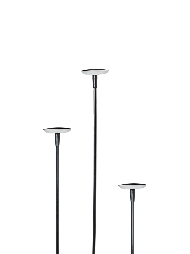 [IL99210000] IN-LITE SWAY BLACK