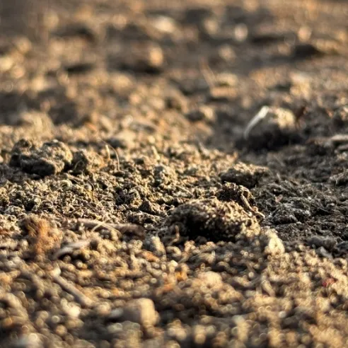 VERMICOMPOST BULK = 1 M³